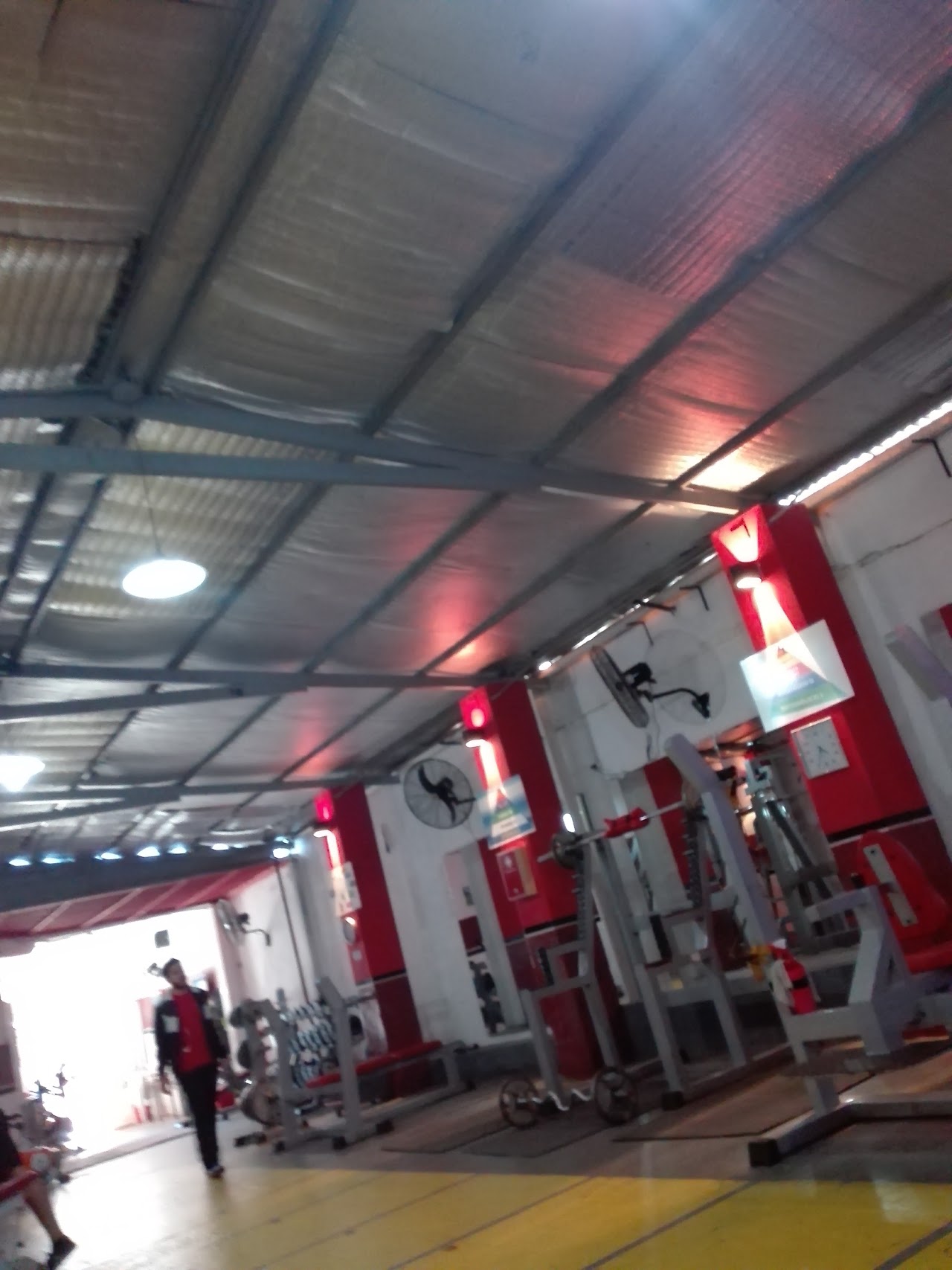 Instalaciones de Fox Gym